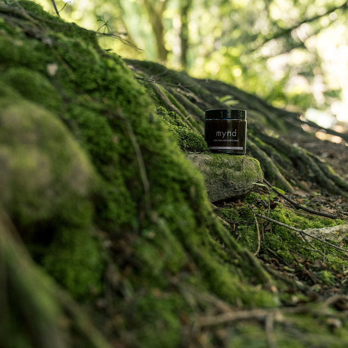 A jar of Mynd's NZ Lion's Mane power sits in the New Zealand forest. This is a 100% natural supplement.