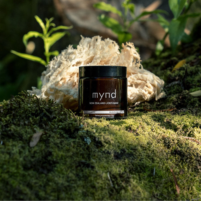 Mynd's New Zealand Lion's Mane mushroom powder pictured with fresh NZ Lion's Mane (Pekepeke-Kiore) in a natural New Zealand environment
